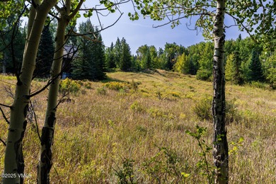 Beautifully situated homesite directly across from the Summit