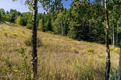 Beautifully situated homesite directly across from the Summit