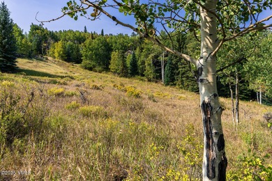 Beautifully situated homesite directly across from the Summit