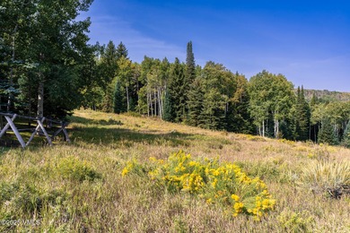 Beautifully situated homesite directly across from the Summit