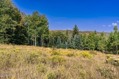 Beautifully situated homesite directly across from the Summit