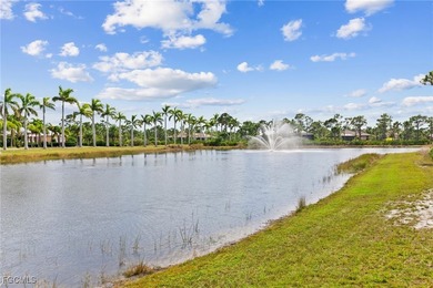 ***NO FLOOD ZONE l ZERO WATER INTRUSION EVER*** Discover a rare - photo 42