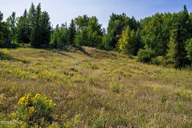 Beautifully situated homesite directly across from the Summit