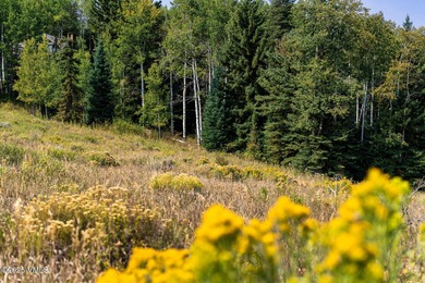 Beautifully situated homesite directly across from the Summit