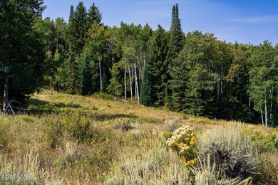 Beautifully situated homesite directly across from the Summit