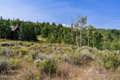 Beautifully situated homesite directly across from the Summit