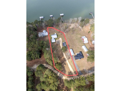 Extraordinary Lakefront Living on Lake Walter F. George! Welcome - photo 7