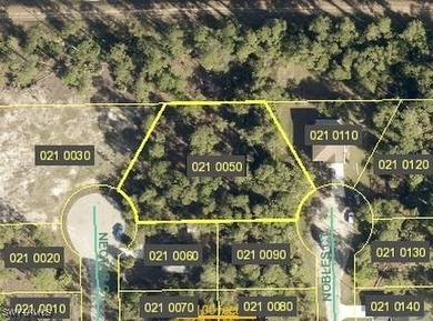 Lehigh Acres Area Lot For Sale in Lehigh Acres Florida