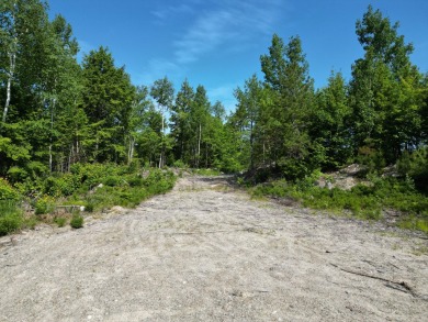 Lake Acreage For Sale in Beddington, Maine