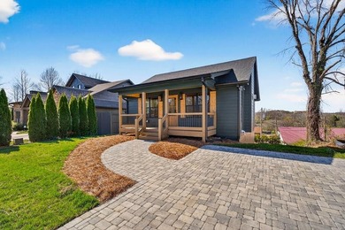 Lake Blue Ridge Home For Sale in Blue Ridge Georgia