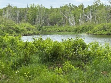 Lake Acreage For Sale in Cooper, Maine