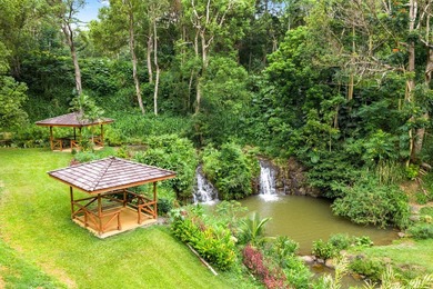 Welcome Home to Hauiki Road! This beautiful 37 acre property in - photo 1