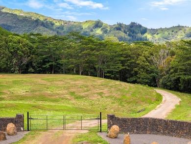 Welcome Home to Hauiki Road! This beautiful 37 acre property in - photo 3