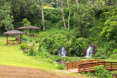 Welcome Home to Hauiki Road! This beautiful 37 acre property in - photo 5