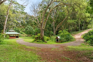 Welcome Home to Hauiki Road! This beautiful 37 acre property in - photo 6