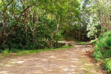 Welcome Home to Hauiki Road! This beautiful 37 acre property in - photo 7