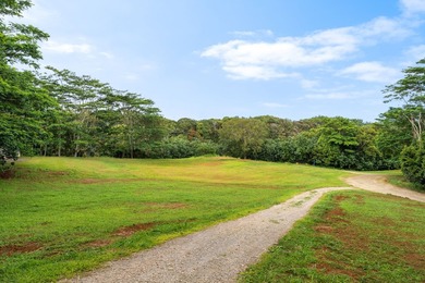 Welcome Home to Hauiki Road! This beautiful 37 acre property in - photo 9