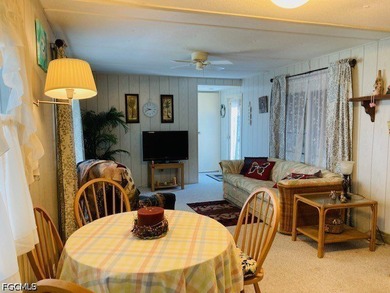 This home did not flood during 2024 storms. Home is move in - photo 8