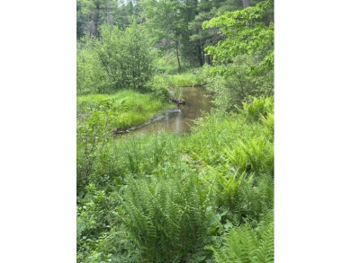 (private lake, pond, creek) Acreage Sale Pending in Newaygo Michigan