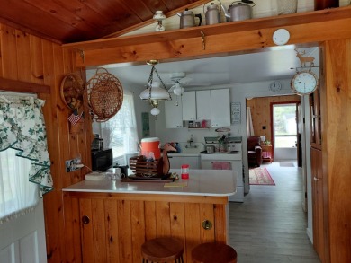 "In the Avenues" E. Caroga Lake deeded access - photo 25