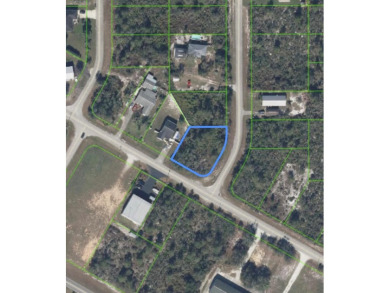 Lake Lot For Sale in Lake Placid, Florida