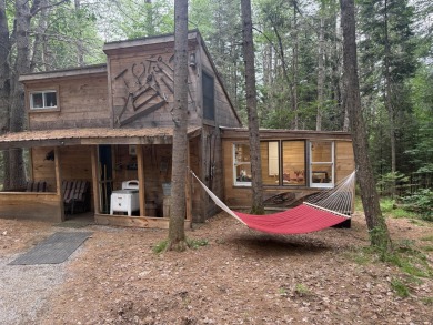 (private lake, pond, creek) Home For Sale in Washington Maine