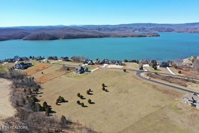 Lake Acreage For Sale in Rockwood, Tennessee