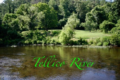 Lake Lot For Sale in Tellico Plains, Tennessee