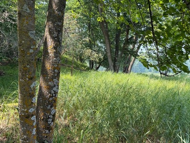 Privacy and lake views await you on this beautiful 1+ acre - photo 11