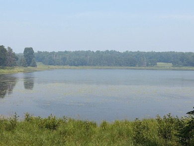 Privacy and lake views await you on this beautiful 1+ acre - photo 13
