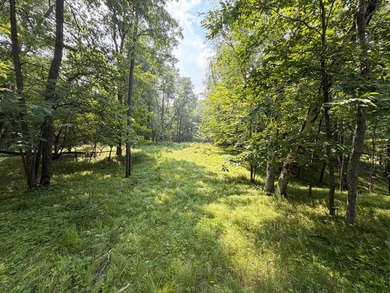 Privacy and lake views await you on this beautiful 1+ acre - photo 14
