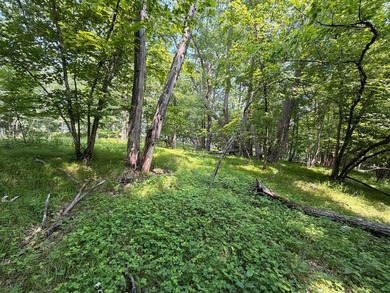 Privacy and lake views await you on this beautiful 1+ acre - photo 15