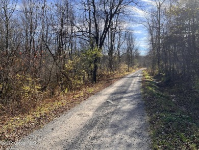 Lake Acreage For Sale in Berne, New York