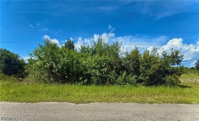 GREAT LOCATION! Unique SIDE BY SIDE lots located on a quiet - photo 1