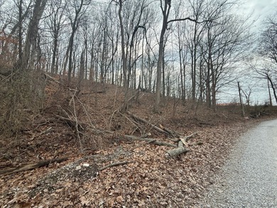 Ohio River Lot For Sale in Cannelton Indiana