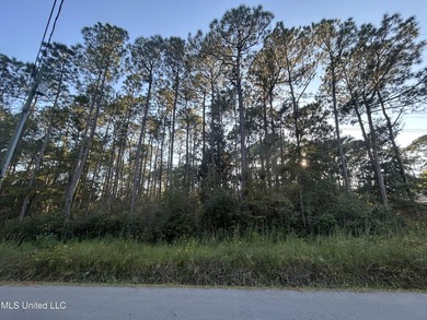 Check out this beautiful lot that is ready for your building - photo 1