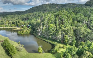 (private lake, pond, creek) Acreage For Sale in Mineral Bluff Georgia