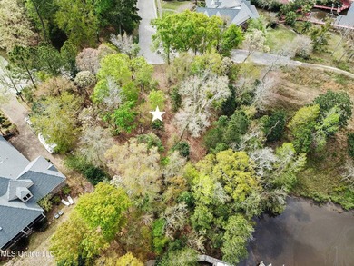 Welcome to Bayou Sauvolle, one of the most desirable and - photo 14