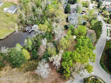 Welcome to Bayou Sauvolle, one of the most desirable and - photo 17