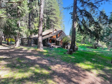 Peace, Privacy & Potential - Dreaming of a place with stunning - photo 4