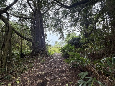 Discover the potential of this private wooded 5.04 Acre, AG-1A - photo 6