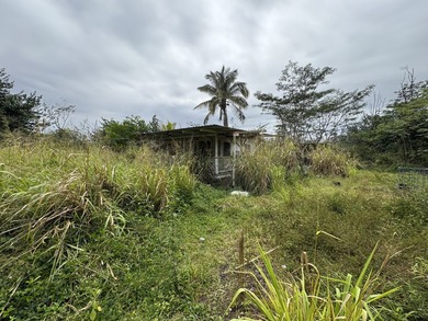 Discover the potential of this private wooded 5.04 Acre, AG-1A - photo 9
