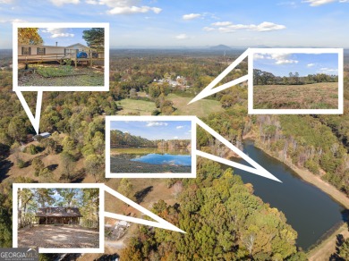(private lake, pond, creek) Home For Sale in Lula Georgia