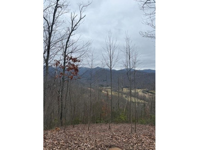 Lake Acreage For Sale in Hayesville, North Carolina