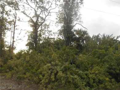 Lehigh Acres Area Lot For Sale in Lehigh Acres Florida