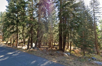 Bear Lake Lot For Sale in Bear Valley California