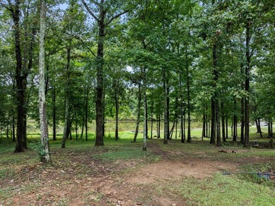 One of a kind mobile home sitting on Bear Creek, with navigable - photo 7