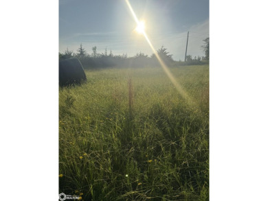 Lake Lot Sale Pending in Moravia, Iowa