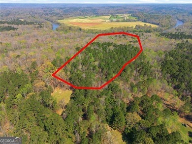 (private lake, pond, coastal) Acreage For Sale in Fairburn Georgia