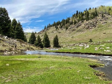 Lake Lot For Sale in Chama, New Mexico